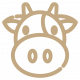 icn-cow icn-cow